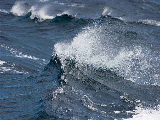 他们为什么去创业,他们为啥选择返乡创业