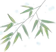 河北任县：冀南杨柳添新枝，贺诗词协会成立！