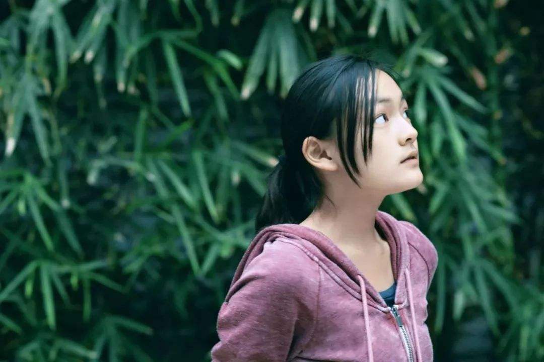 豆瓣8.2分深度解说,豆瓣9.2分电影告诉我们什么