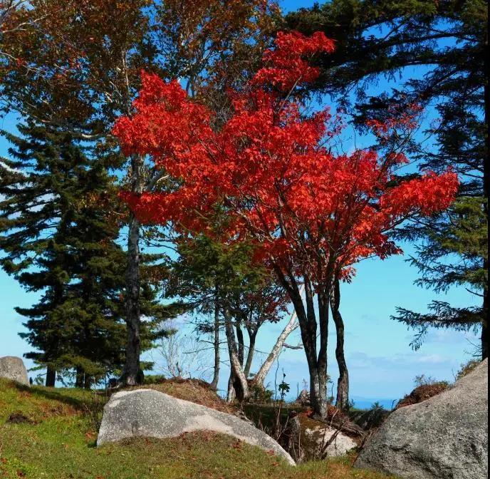 旅游景点畅玩团购,景点游玩优惠团购