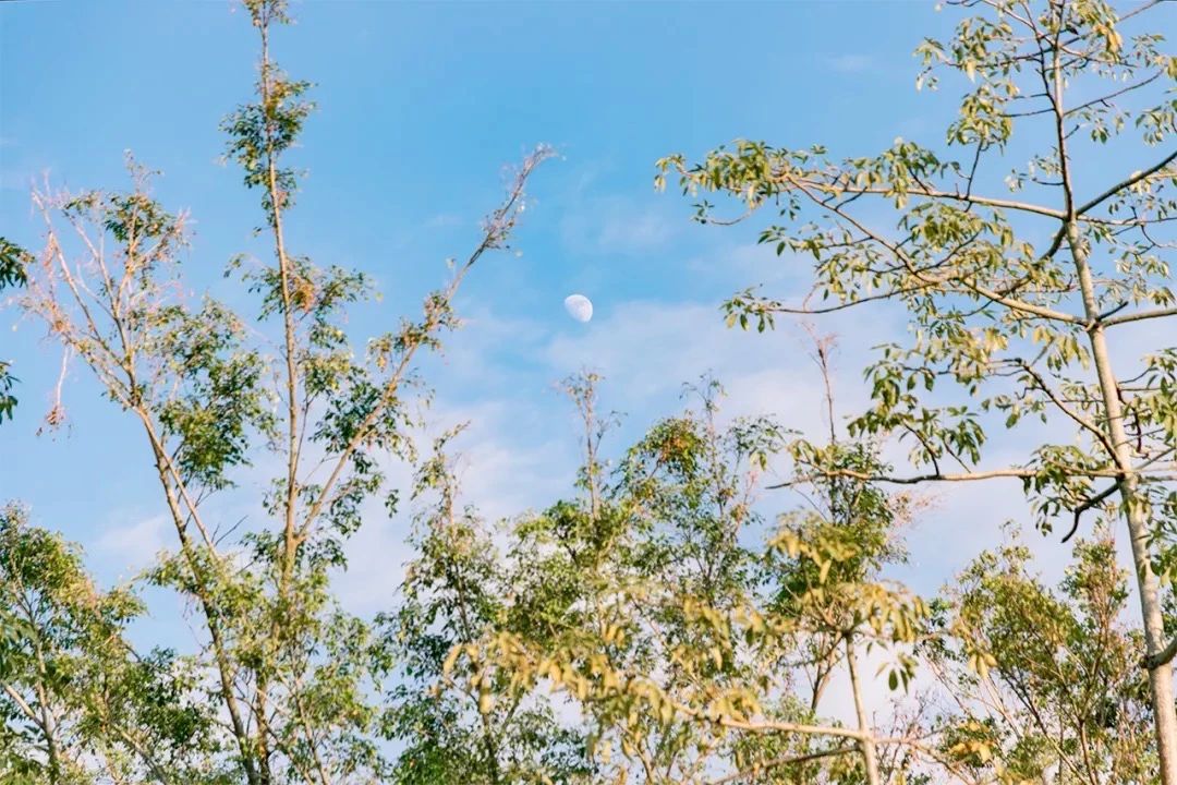 深圳地铁7号线有什么好玩的,深圳地铁十四号线游玩攻略