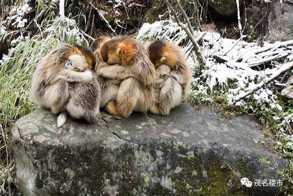 茂名市房地产市场现状,房地产降价新模式