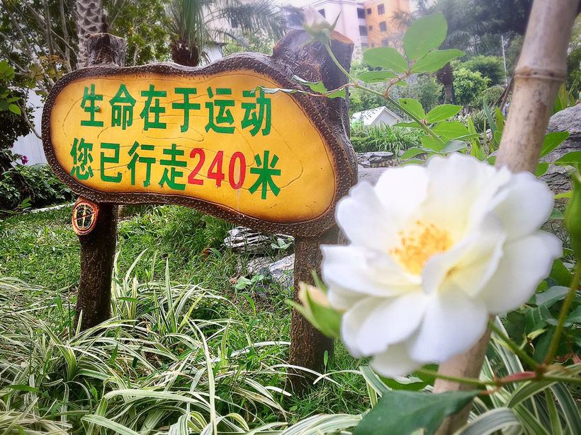 横琴相思瀑布要门票吗,相思瀑布珠海附近景点