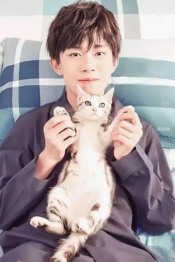 哥哥喜欢什么类型女孩子,哥哥喜欢什么