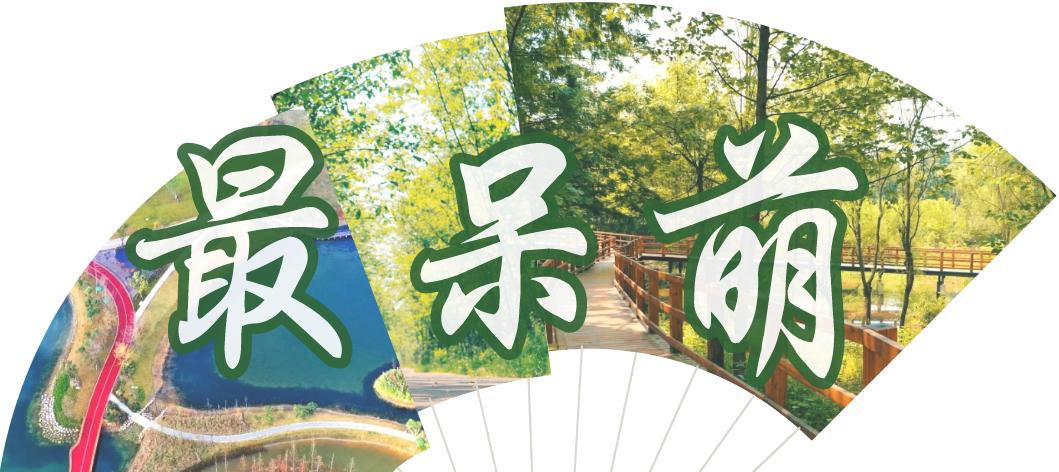 成都绿道被隔开,成都被3条路包围的楼盘