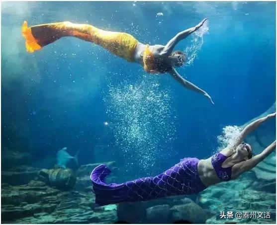 六一儿童节好去处泰州,泰州六一儿童节带孩子去哪玩