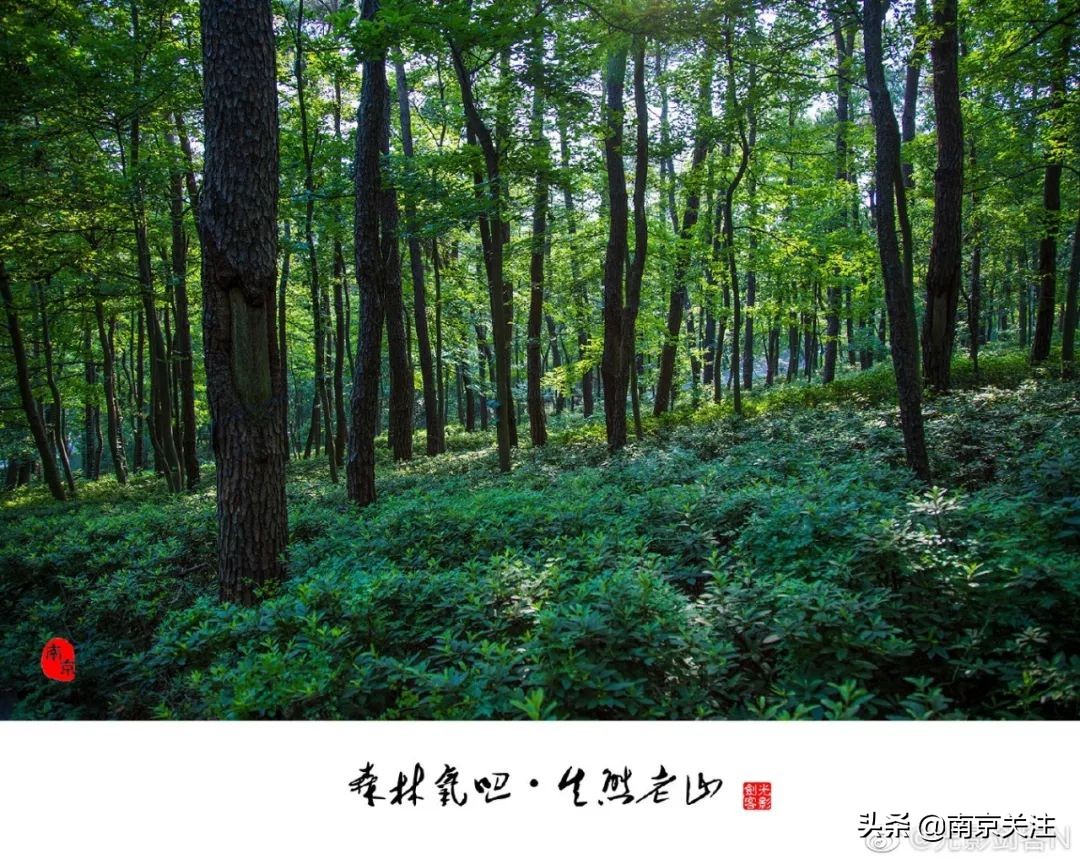 人间仙境美如画旅游地推荐,人间仙境好看的地方