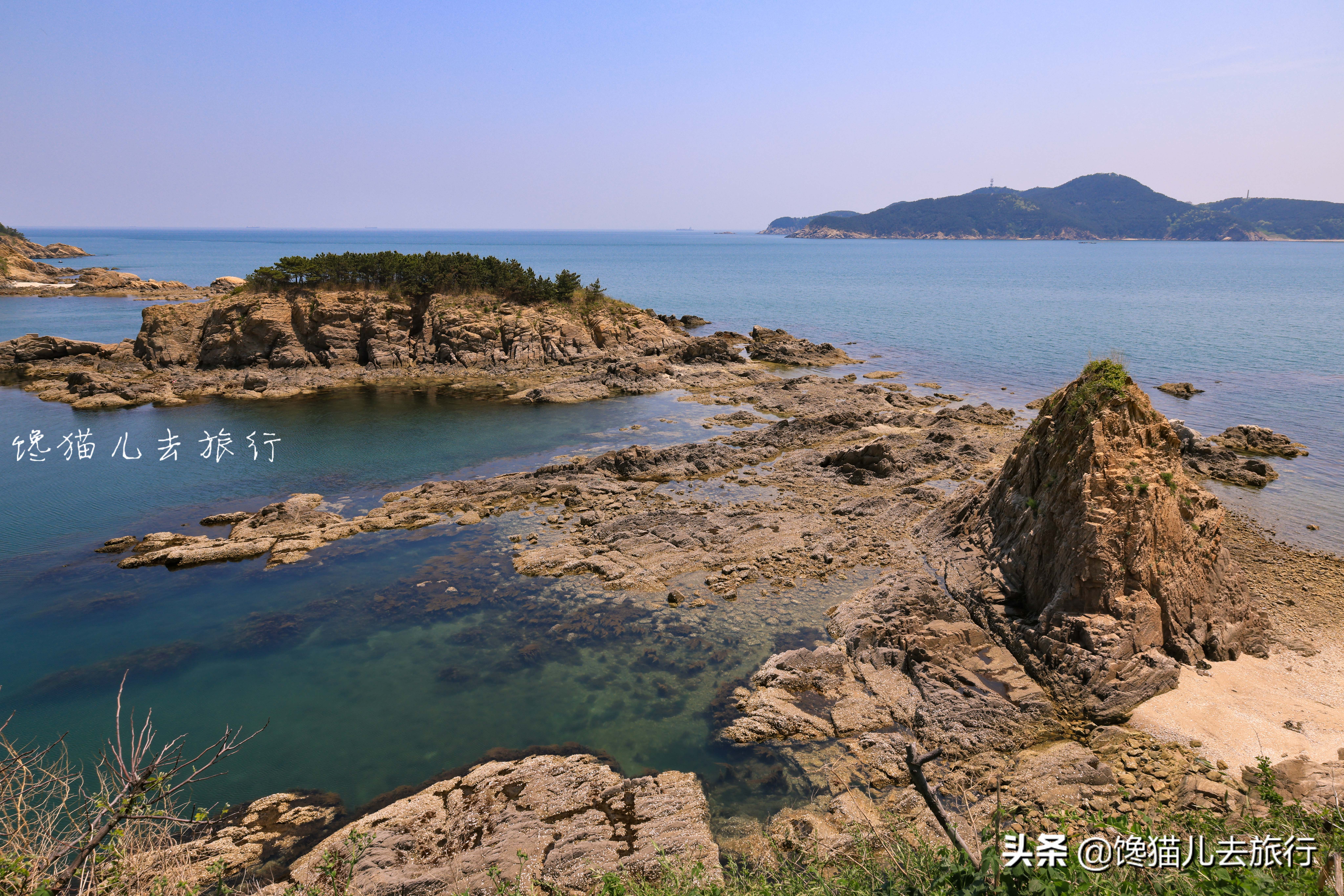 实拍威海海参打捞,如何分辨野生还是养殖?海参排泄物居然能吃