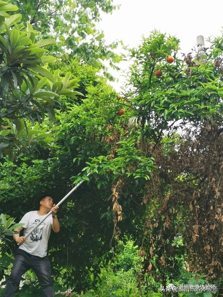 洞头桃源里,温州洞头玖栖海上桃源里