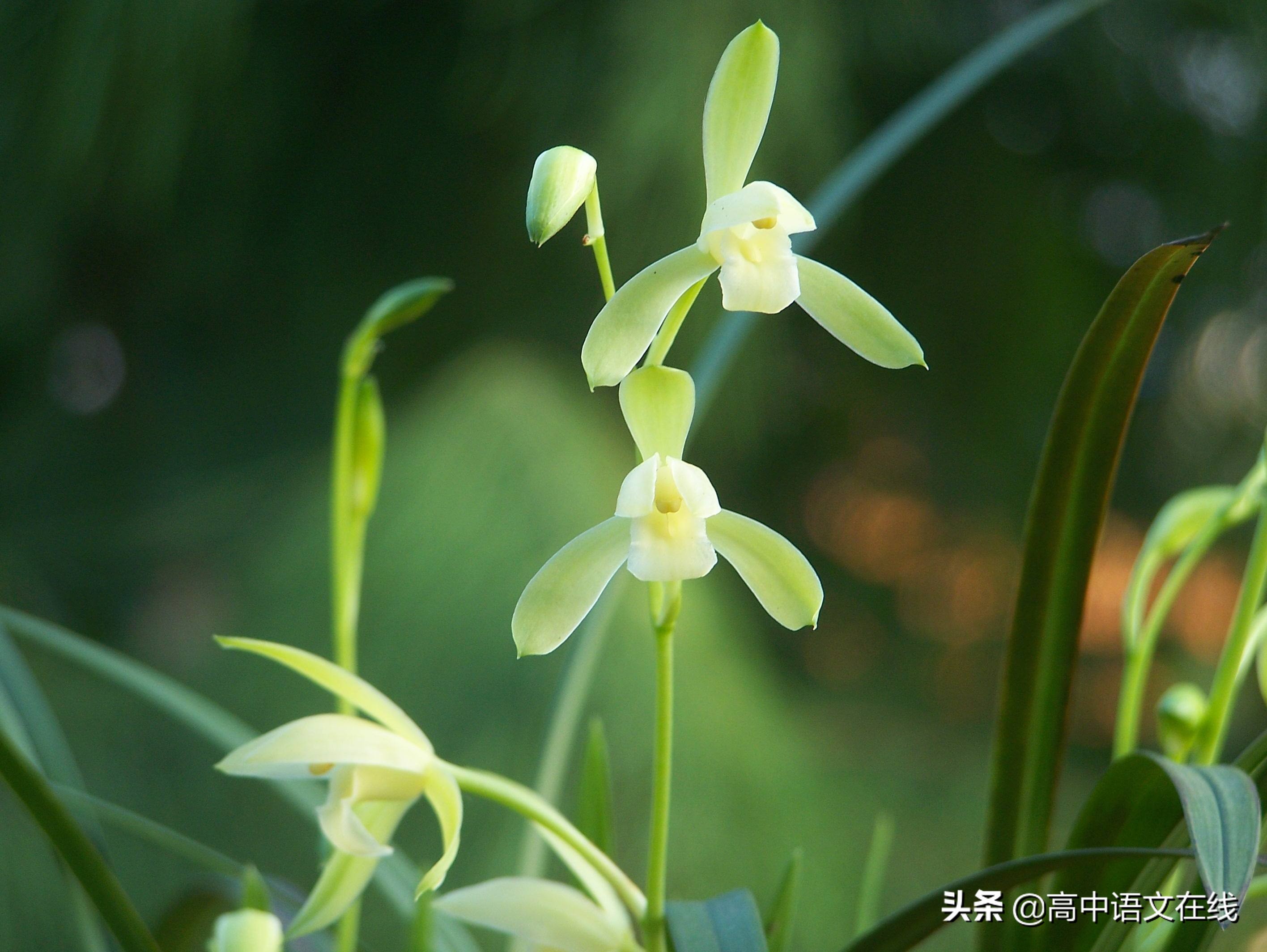 2020全国名校模考作文106,2022年全国名校模考作文优秀