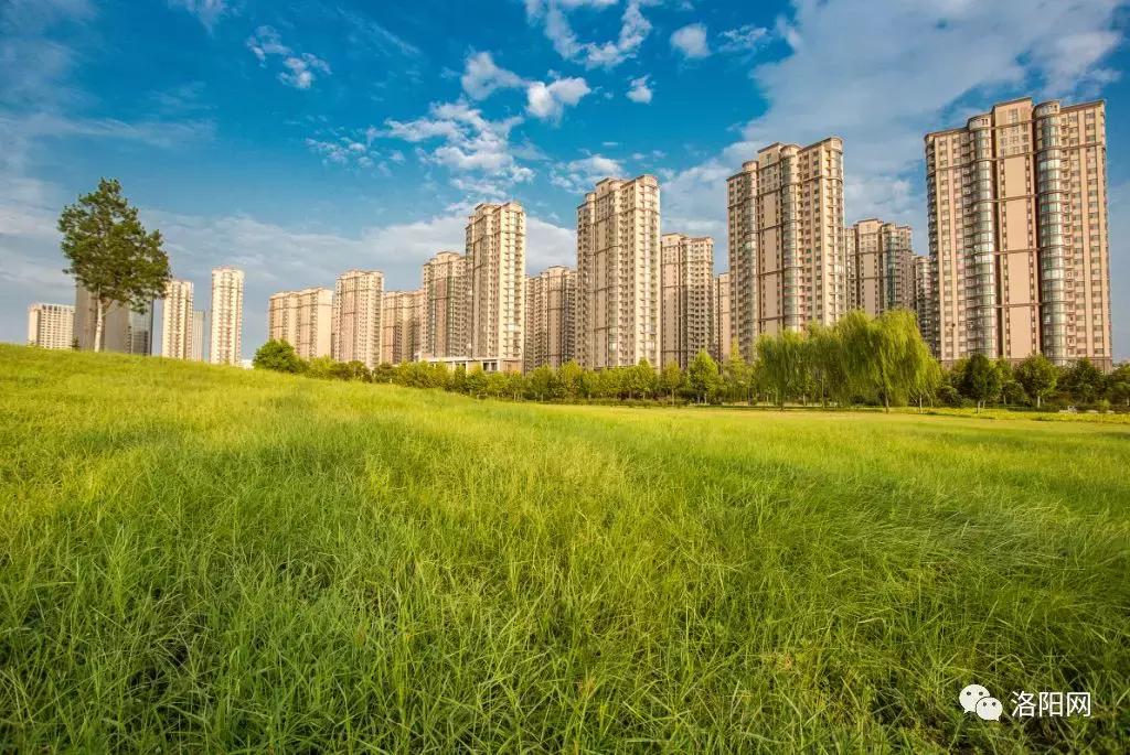 洛阳向全球推介,洛阳向世界发出邀请