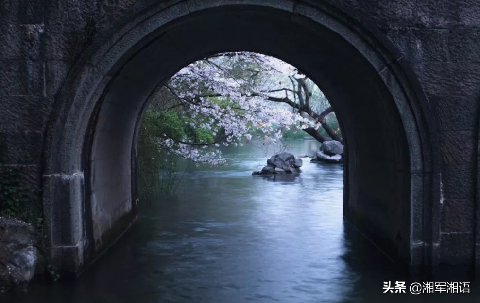 杏花古镇旅游景点,江南杏花景点