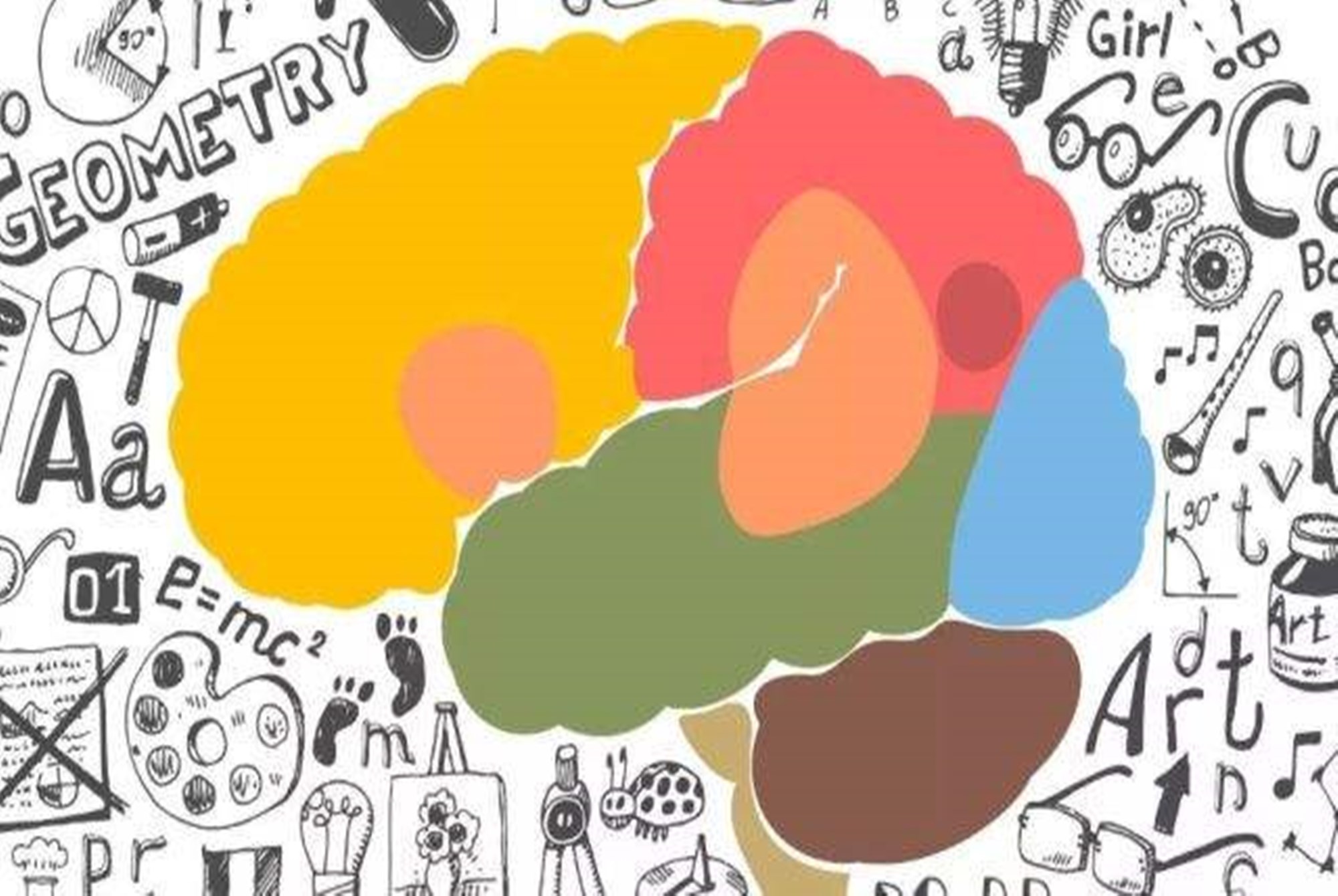 开发右脑最有效的方法,开发右脑的最佳方法