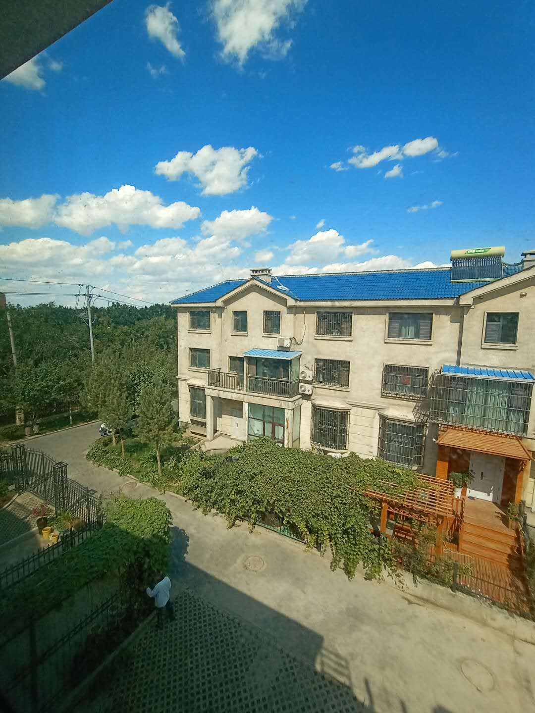 绿地城二期绿化乌鲁木齐,乌鲁木齐中海万锦公馆绿化环境