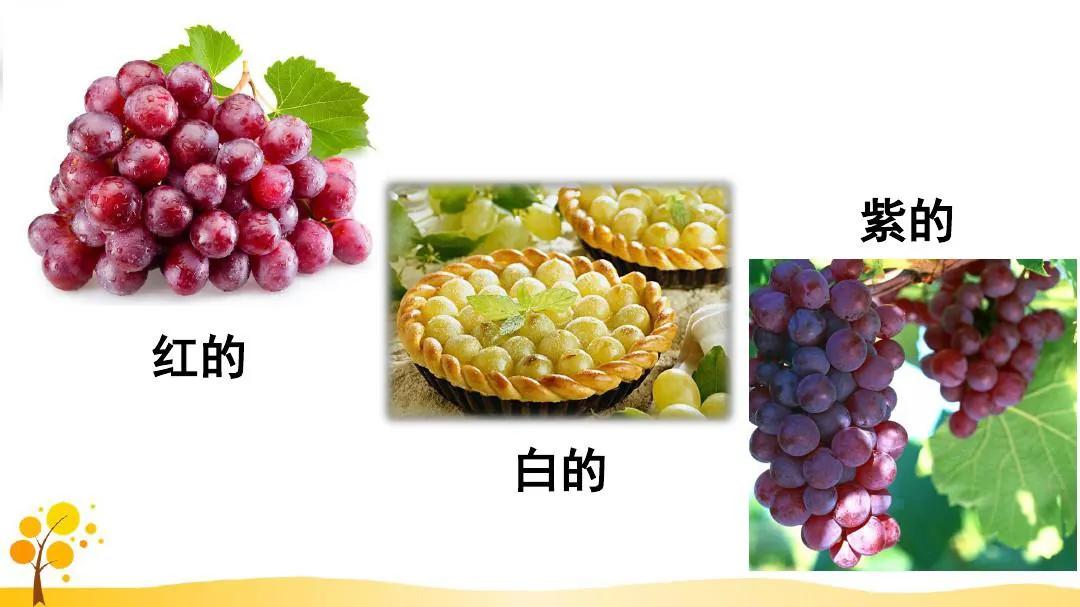 二年级上册第11课葡萄沟课文,二年级语文第11课葡萄沟课文预习