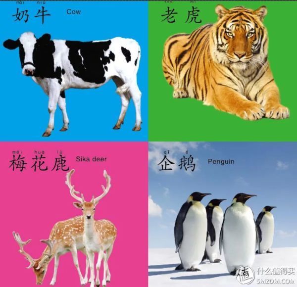 幼儿早教启蒙3-6岁识字方法,幼儿早教启蒙学习教育视频