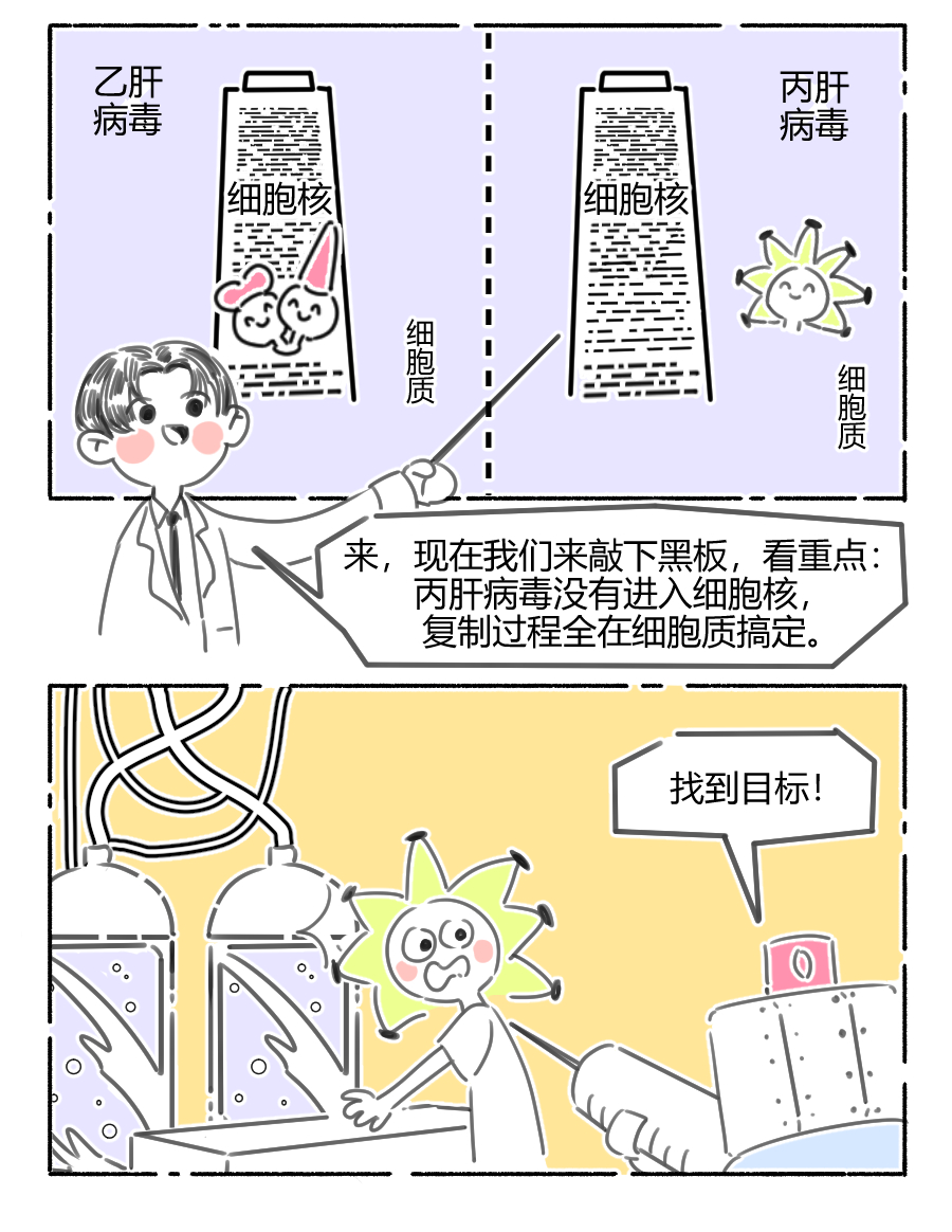 乙肝与丙肝哪个严重,乙肝和丙肝和甲肝哪个严重