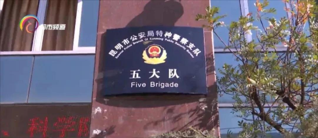 微信突然无法登录,微信登录不进去提示冻结