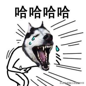 女人勤劳能干活,女性勤换内裤可以吗