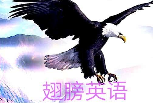 perform常用用法及短语,perform作为动词的用法