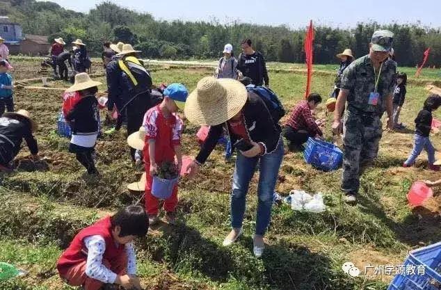 研学旅行不能重游轻学,研学旅行回来心态就变了