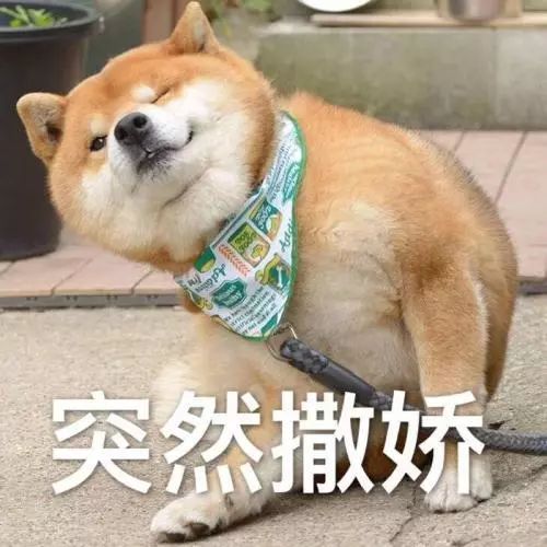 纯种狗怎么来的,怎样培育纯种狗