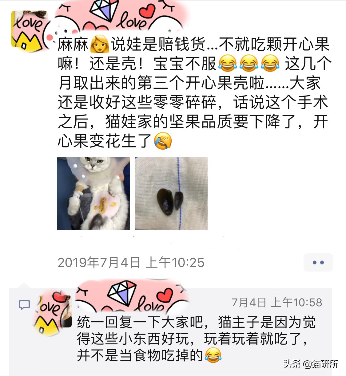 10张让人不寒而栗的图片,猫咪x光正常图片