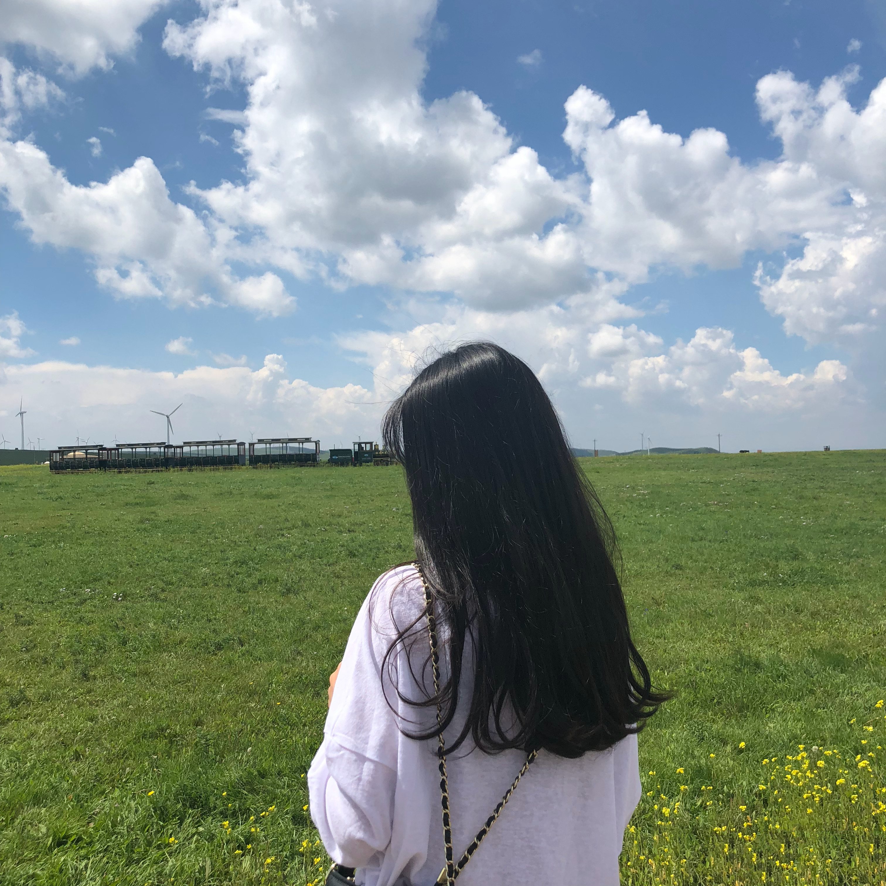 内蒙呼和浩特市内游,五一内蒙古呼和浩特及周边游