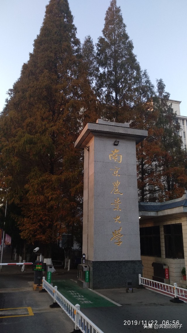 南京农业大学秋天美景,逛一下环境优美的南京农业大学