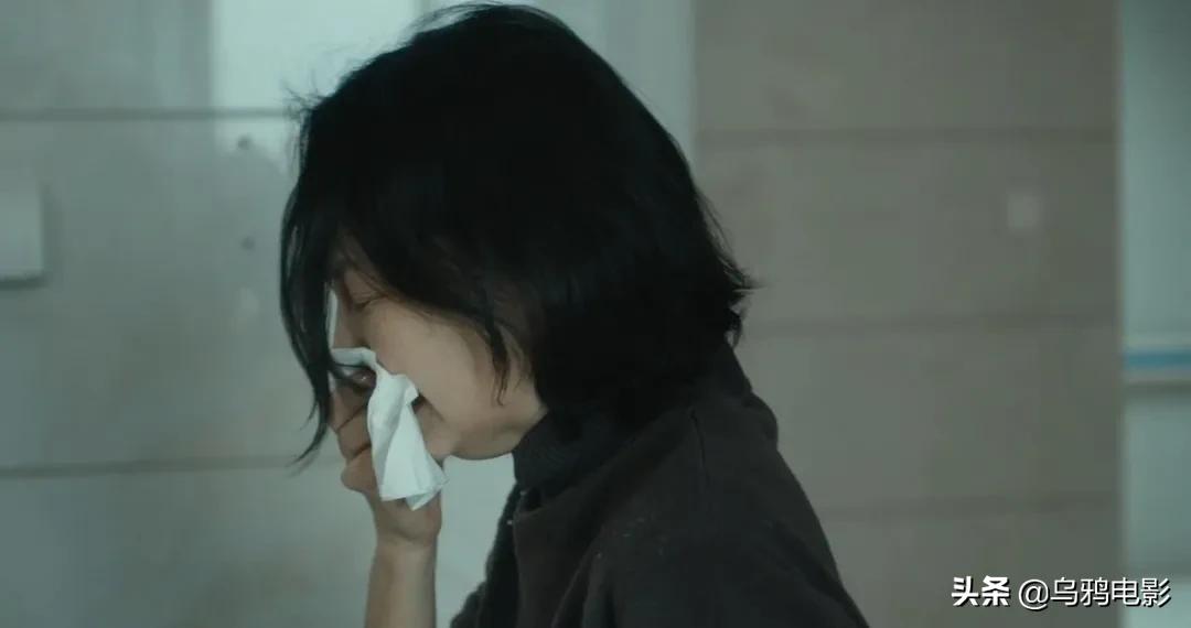 横扫电影节奖项,横扫国际影展