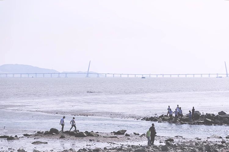 深圳游玩合集,深圳世界之窗游玩攻略必玩项目