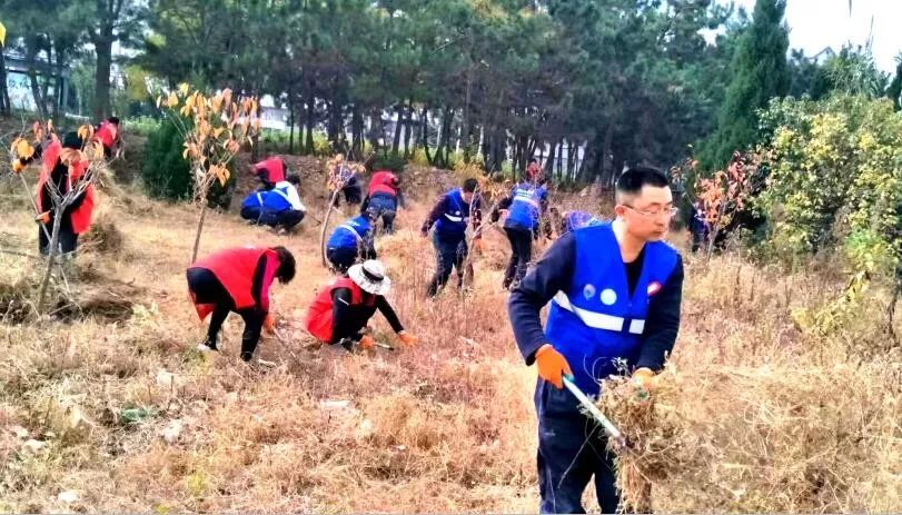 助力乡村振兴千人行动黑龙江,助力乡村振兴千人行动