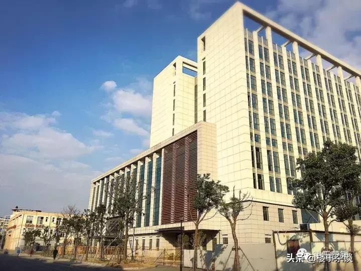 沪嘉同城嘉善,沪嘉同城一体化嘉善