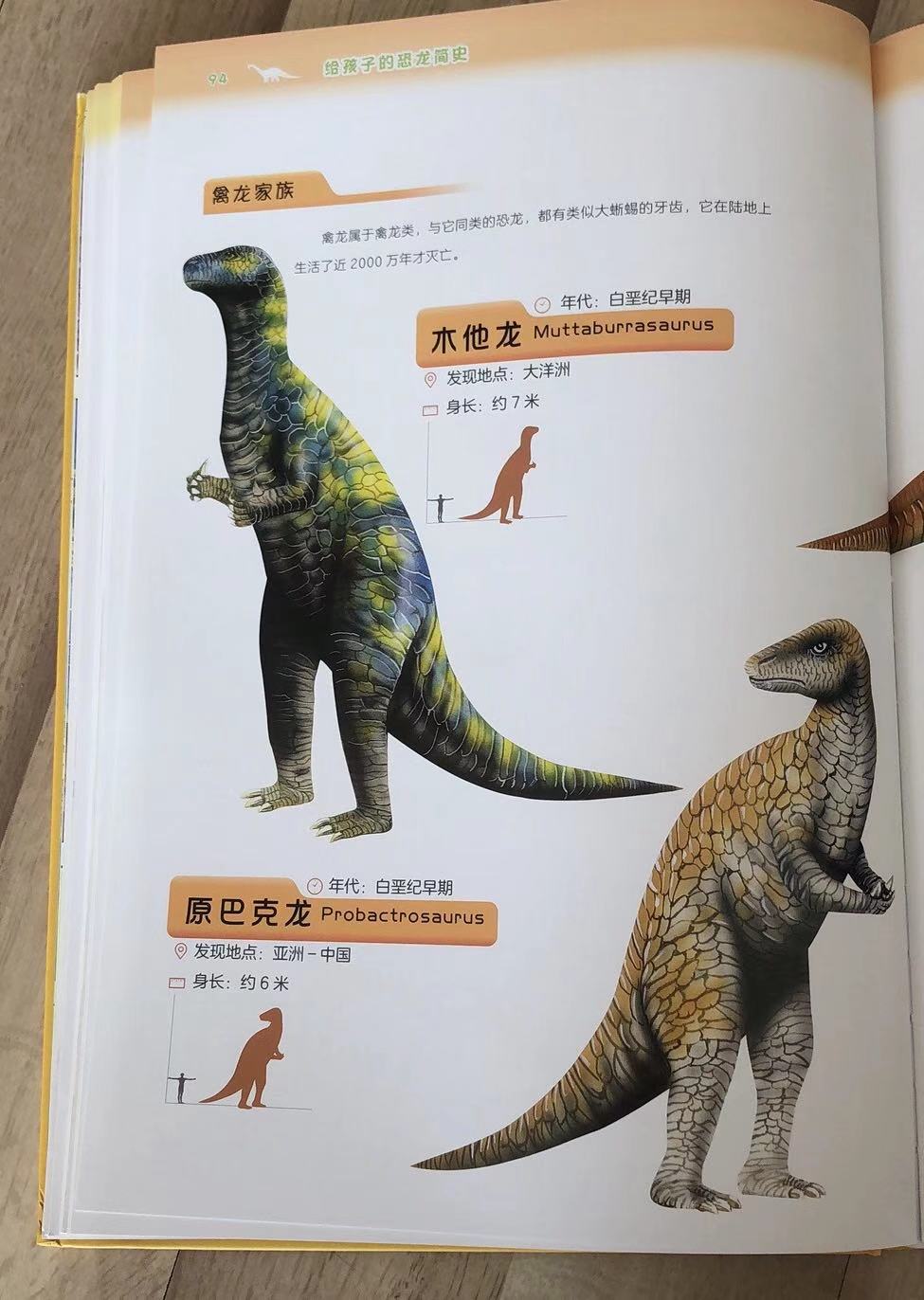 恐龙知识大百科恐龙时代,穿梭到恐龙时代了解恐龙知识