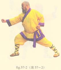 少林心意门拳视频教程,少林长护心意拳图解