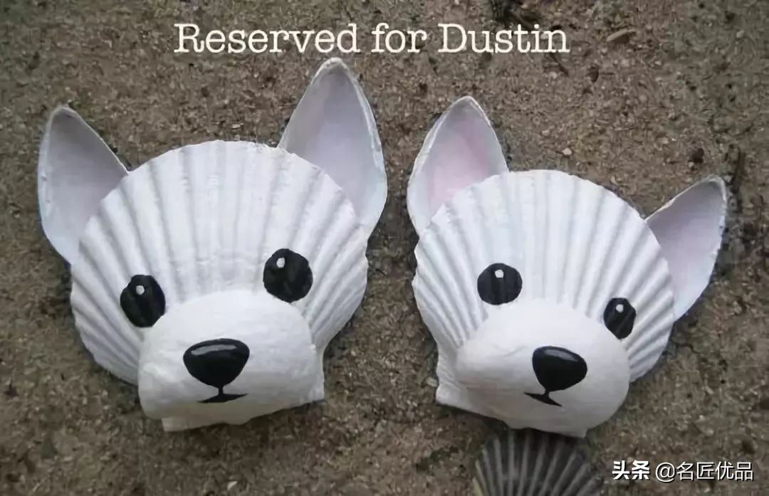 100种贝壳玩法图解,幼儿体智能贝壳的玩法