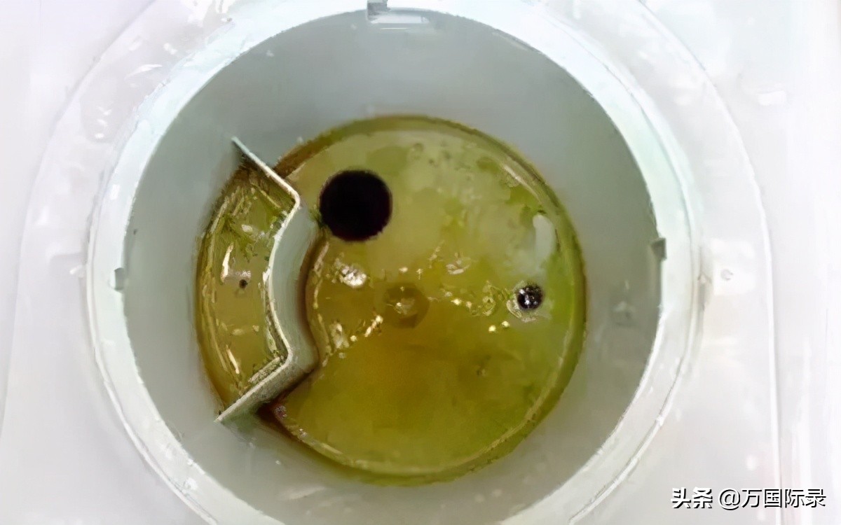 清理饮水箱污垢的小窍门,饮水机长时间不清理比马桶脏