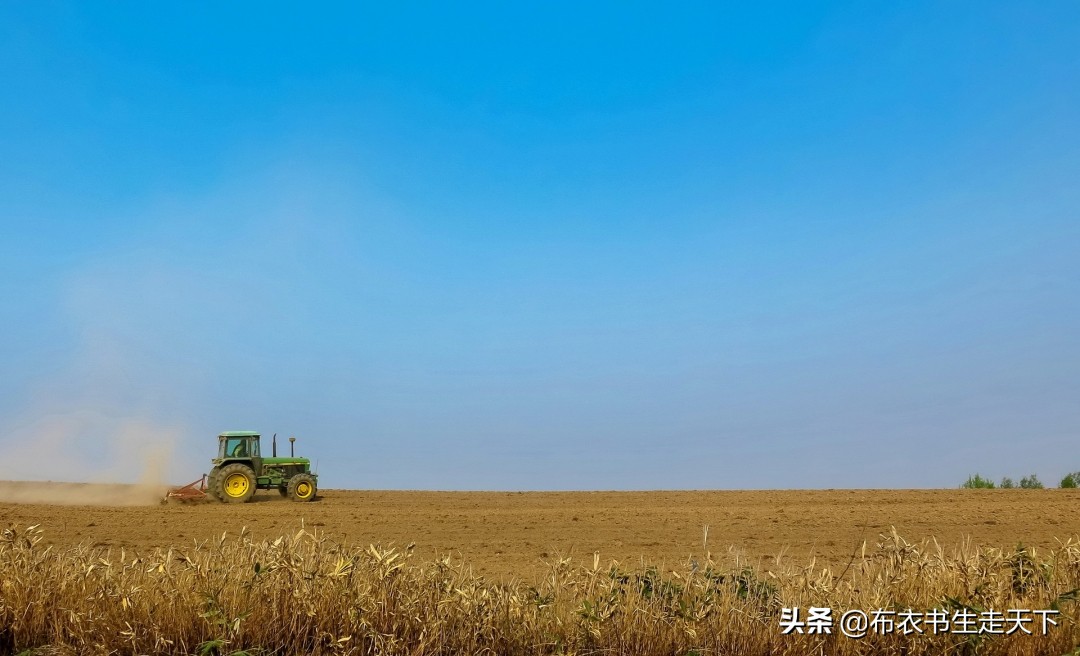 看好一只股如何滚动交易,看好一只股票如何买入