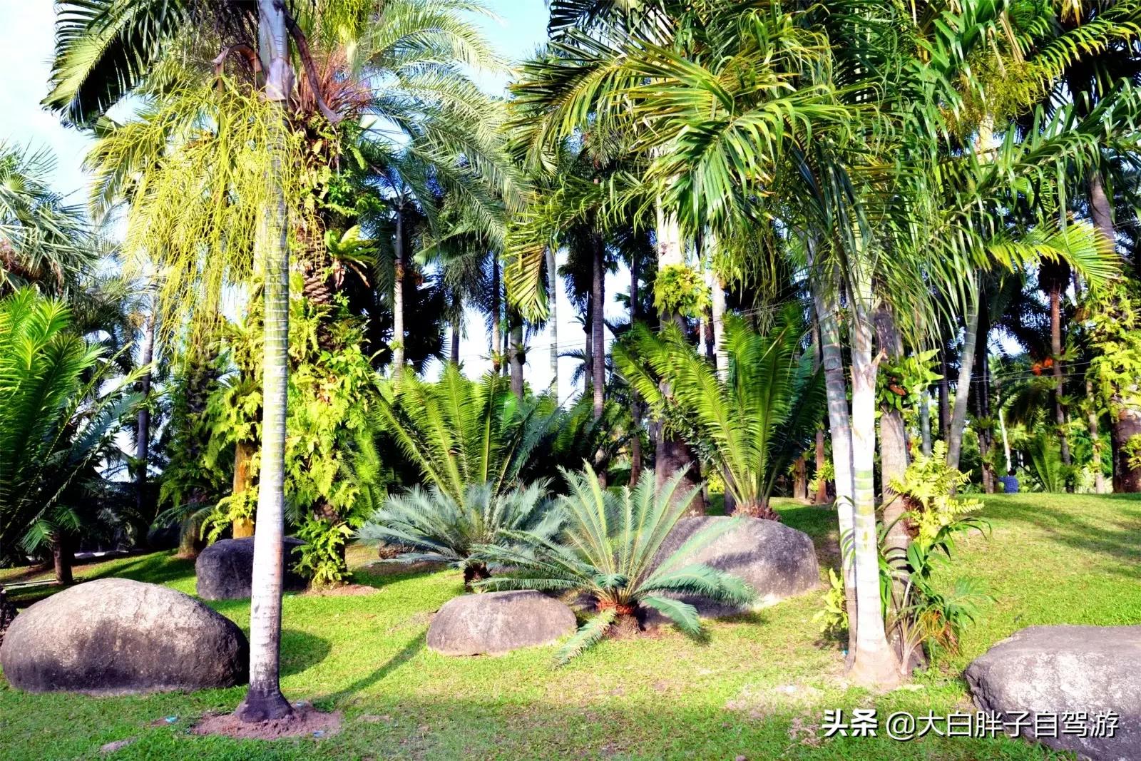 泰国风情之旅完整版小说,泰国风情十日游