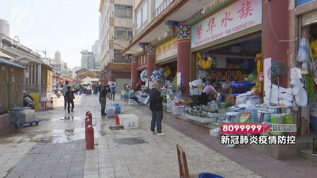 花鸟市场哪些不能买,花鸟市场现在还有吗