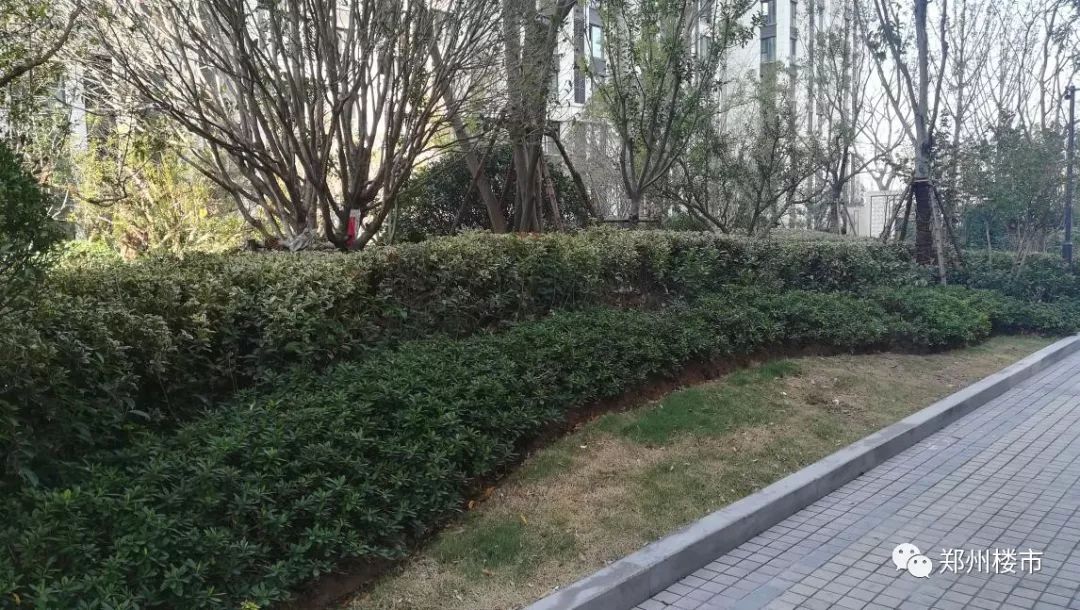 管南最值得买的楼盘有哪些,管南神盘