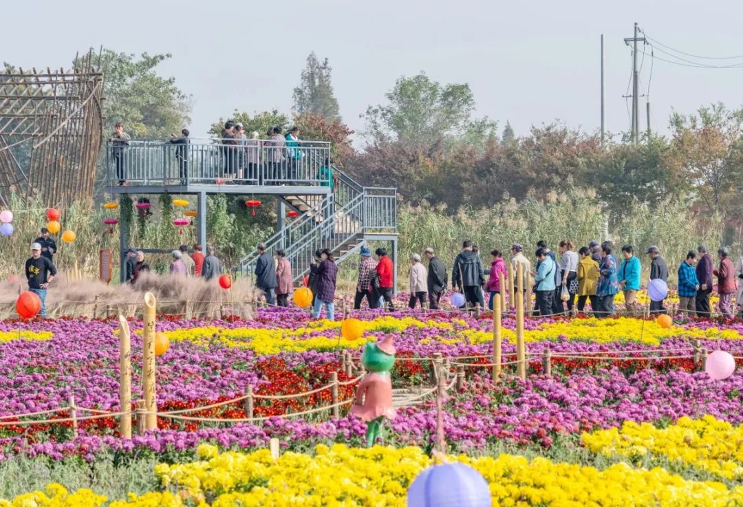 溧阳庆丰村怎么突然火了起来，答案或许就在这里