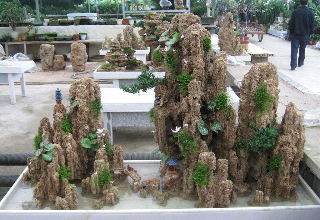 制作盆景的入门技巧,怎样制作盆景