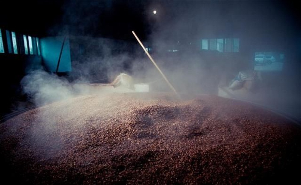 酿酒工艺全程五大步骤,酿酒工艺详细教程