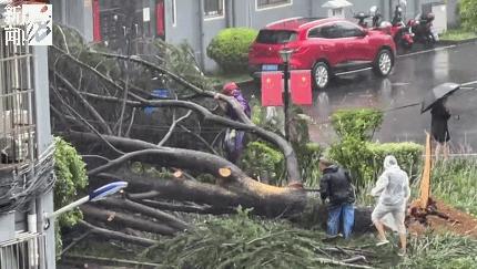 台风烟花过后留下惊人的一幕,台风烟花结局