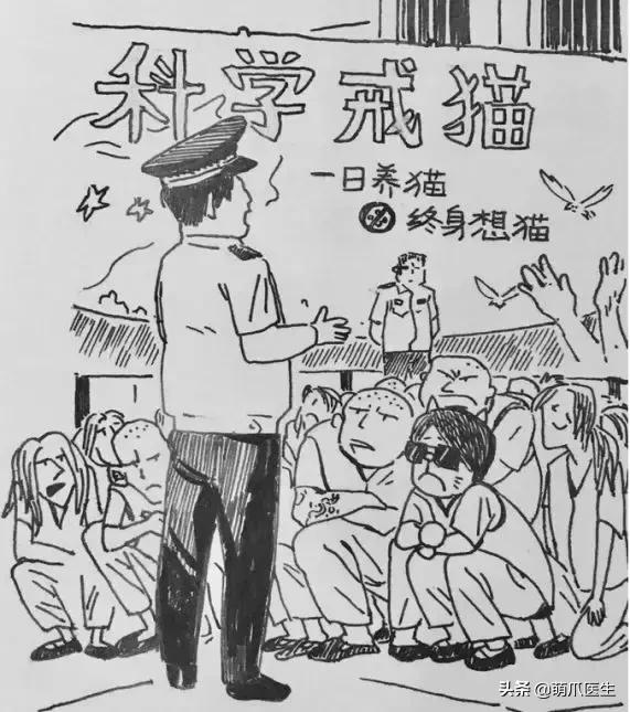 这猫睡姿也太销魂了,猫睡相