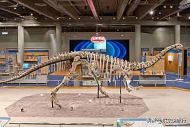 寒假亲子游最佳攻略,寒假国内亲子游攻略