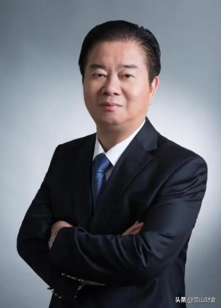 禹洲地产的现状揭晓,禹洲地产面临破产