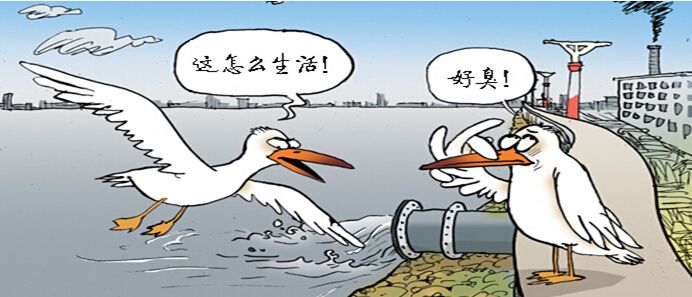 农村黑臭水体治理工作指南试行,黑臭水体治理总结