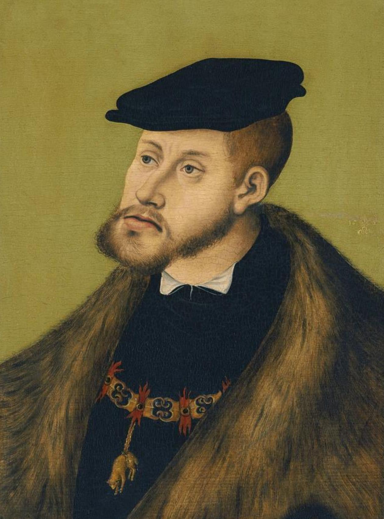 *亲近**通婚200年会怎么样?制造出一堆网红锥子脸,王朝因此覆灭